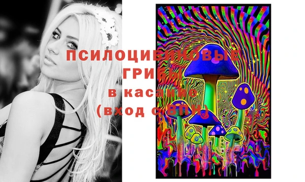 не бодяженный Алексин