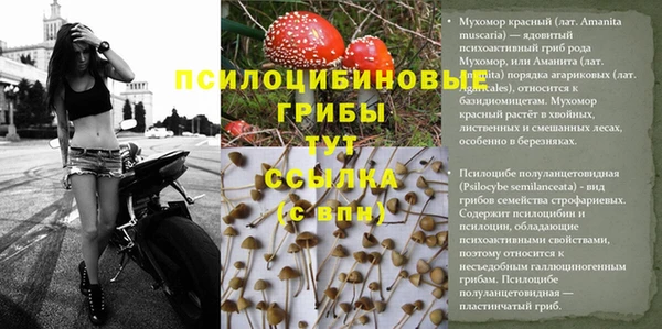 спайс Балахна